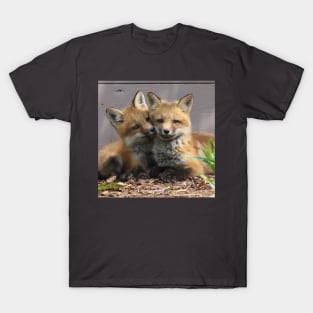 Fox Pups Getting Cozy T-Shirt